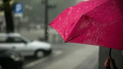 Оби Ширин - 💦Смысл жизни не в том, чтобы ждать, когда закончится гроза, а  в том, чтобы научиться от души радоваться дождю. (Вивиан Грин) #обиширин # дождь #цитаты #вода #жизнь | Facebook