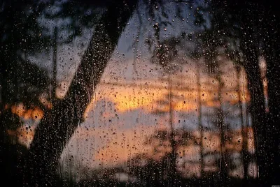 За окном дождь