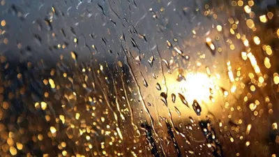 За окном осенний дождь. :: Любовь Чунарёва – Социальная сеть ФотоКто