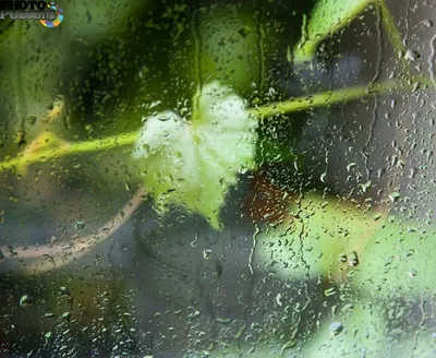 ☔И пусть за окном дождь,... - Истринский городской округ | Facebook