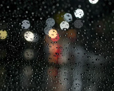 Дождь. Рассказ. | Зюзинские истории | Дзен