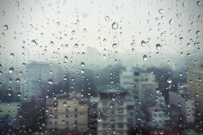 Дождь за окном - Картинка на телефон / Обои на рабочий стол №1292162