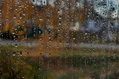 Неоновые огни отражаются в каплях дождя за окном Фон И картинка для  бесплатной загрузки - Pngtree