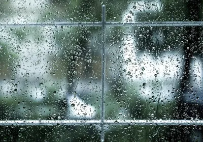 Летний дождь за окном - 75 фото