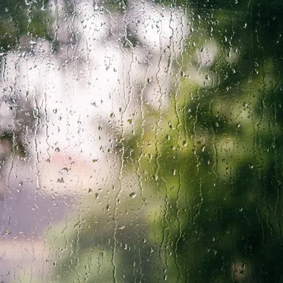 А за окном гуляют Дождь с Дождихой... (Мне жаль, что люди ... | Всё будет  хорошо! | Фотострана | Пост №2502557863