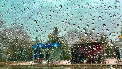 Сколько дней подряд без остановки может идти дождь: отвечают учёные —  Ferra.ru