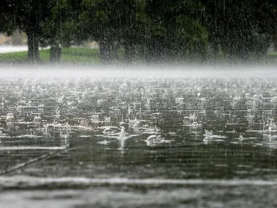 Дожди стали гораздо сильнее: Тревожные думы ученых – K-News