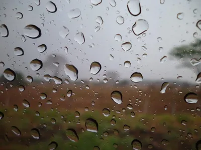 К чему снится дождь по соннику: толкование снов про дожди