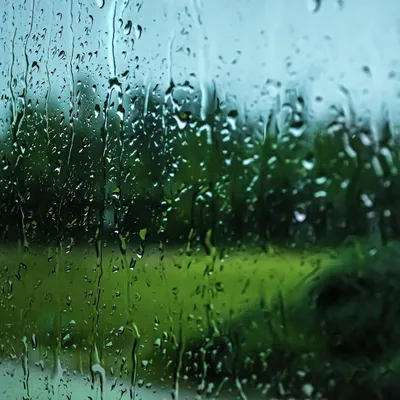 В большинстве районов дождь, только в одном солнечно: прогноз погоды в  Сахалинской области - Новости Сахалинской области - astv.ru