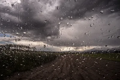 Какие области Узбекистана с 14 по 17 мая накроют дожди