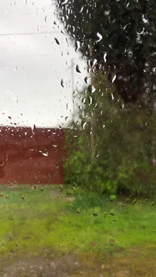 Дождь на окне с предпосылкой дерева фото Стоковое Фото - изображение  насчитывающей влага, подача: 92971956