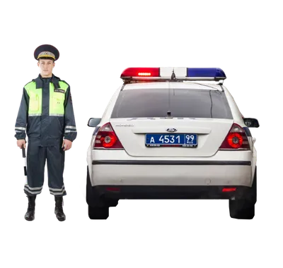 Тыльный муляж машины ДПС с полицейским ДПС - Закажите онлайн на Znaki154.ru  с доставкой в Воронеже