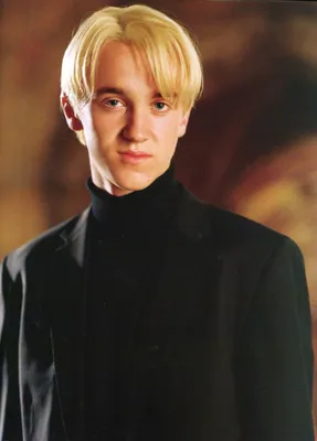 Ростовая фигура Драко Малфой (Draco Malfoy) вид 2 (615x1800 мм) - купить по  выгодной цене | Магазин шаблонов Принт100