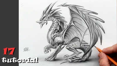 Рисунки китайского дракона для срисовки (54 фото)