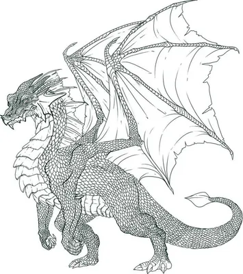 Картинки драконов для срисовки карандашом ⭐ Картинки с юмором | Dragon  drawing, Dragon artwork, Dragon art