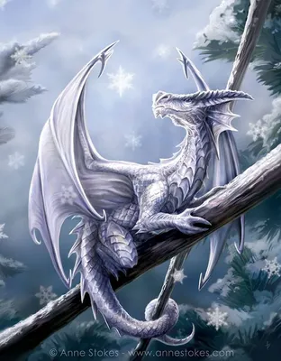 Белый снежный дракон арт 👑 | Мифические существа, Изображение дракона,  Фэнтези