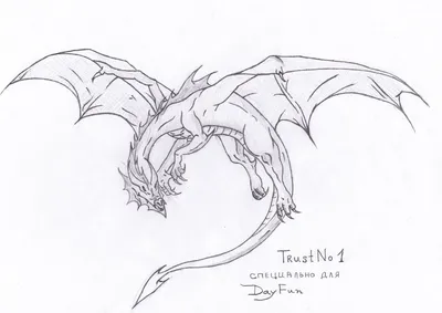 Пин от пользователя Anna Fedak на доске Dragon | Рисунки драконов,  Рисовать, Рисунок дракона