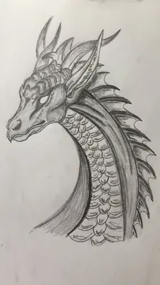 Рисунок дракона карандашом | Рисунки драконов, Рисунок дракона, Рисунок