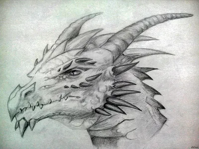 Дракон нарисован на бумаге карандашом художника, картинки дракона рисовать,  Дракон, Парад Лодок Драконов фон картинки и Фото для бесплатной загрузки