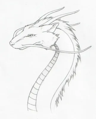 Дракон, рисунок карандашом, дракон …» — создано в Шедевруме