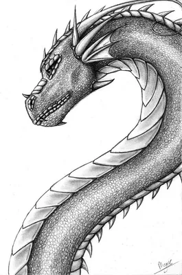 Простые рисунки дракона - 26 фото