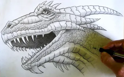 Рисунок карандашом на бумаге, дракон…» — создано в Шедевруме