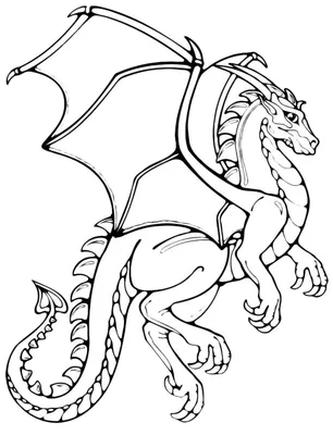 dragon para colorear - Cerca amb Google | Рисунки драконов, Раскраски,  Рисунки