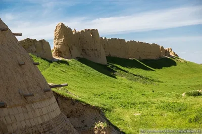 Узбекистан. Путешествие в древние города | BASK-TOUR