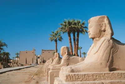 Древний Египет, пирамиды, песок, нил…» — создано в Шедевруме
