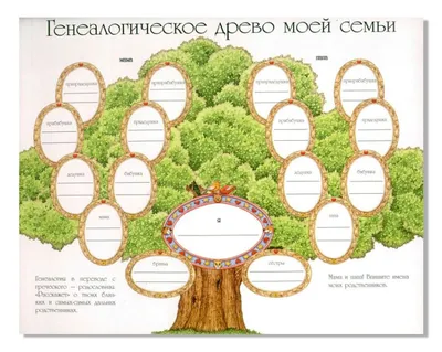 генеалогическое ДРЕВО. Заказать оформление картины родословного дерева.