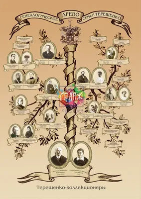 Волгоградские генеалоги рассказали, как составить древо семьи