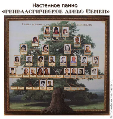 Родословная дерево (91 фото) - 91 фото