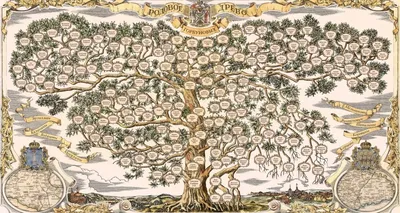 Дерево семьи родословное с портретами родственников Ребенок, родители и  деды Иллюстрация вектора - иллюстрации насчитывающей бабушка, дуб: 112816086