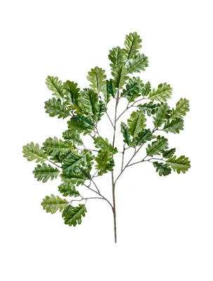 Искусственное растение \"Blumentag\" ALT-05 Декоративные элементы \"Листья дуба\"  7 х 15.5 см 6 шт. 01 ассорти (дуб) купить за 227,00 ₽ в интернет-магазине  Леонардо