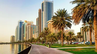 Налоги в ОАЭ 2023: НДС, недвижимость, налоги для бизнеса в Дубае