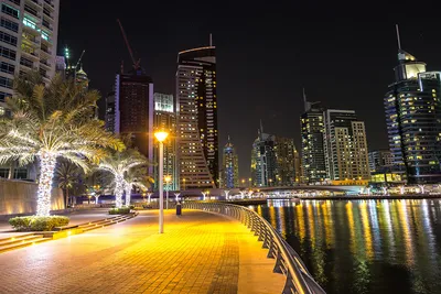Обои 3d с ночным обзором Дубая, зданием города ОАЭ, Настенные обои для  гостиной, телевизора, спальни, настенные бумаги, домашний декор, Фреска для  бара | AliExpress