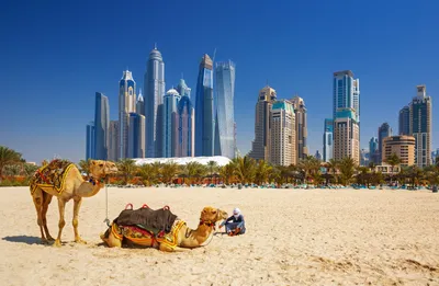 ТОП-20 причин для переезда в Дубай | metropolitan.realestate