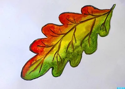 Осенние Листья Дубовый Лист - Бесплатное фото на Pixabay - Pixabay