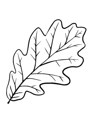 Дубовые осенние листья шаблоны - 51 фото