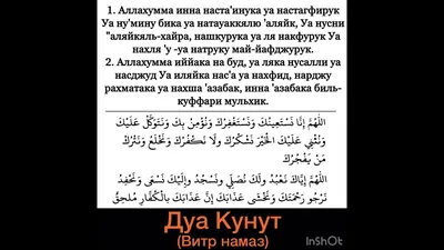 Дуои кунут