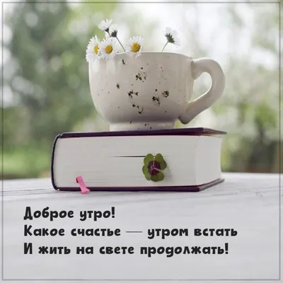 https://www.tiktok.com/@vladimir.trener/video/7337002904655629574