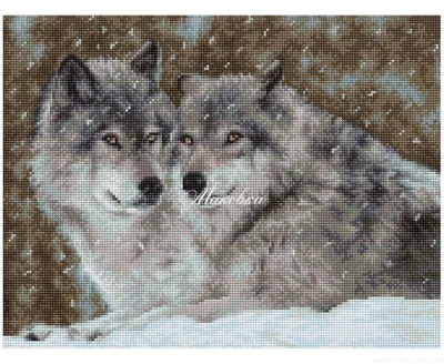 Два волка: один красивый, гордый …» — создано в Шедевруме