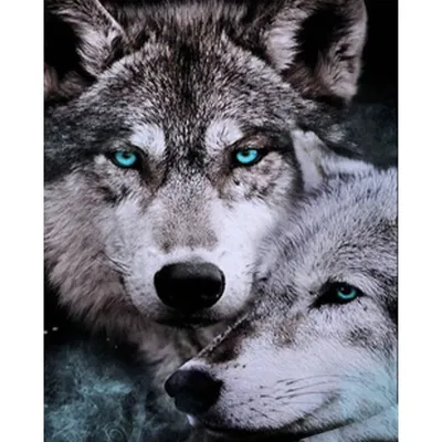Два Волка Воют На Луне — стоковые фотографии и другие картинки Волк - Волк,  Луна, Вой - iStock
