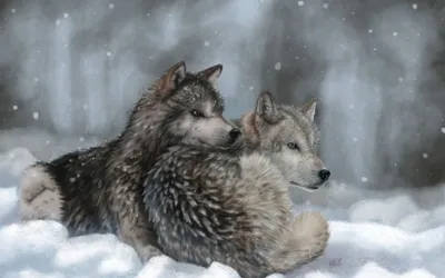 Картина по номерам \"Два волка\"
