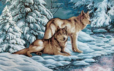 Фотообои два волка на снегу», (арт. 21521) - купить в интернет-магазине  Chameleon
