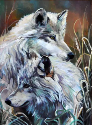 Два волка | Brushme
