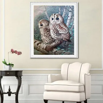 Купить Алмазная картина «Две милые совы», Алмазная мозаика, картина, вышивка,  узор, вышивка | Joom