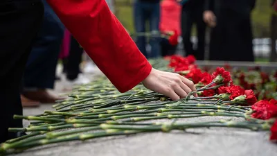 2 красных гвоздики стоковое фото. изображение насчитывающей цветок - 6943760