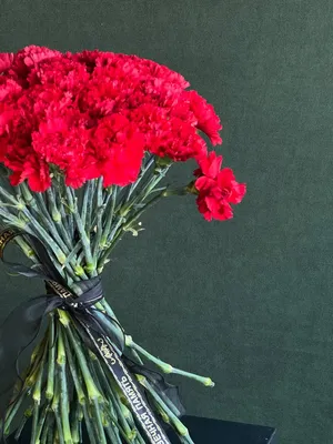 Купить ДВЕ гвоздики пластмассовые, Искусственные цветы для декора, на  кладбище по выгодной цене в интернет-магазине OZON.ru (936742435)