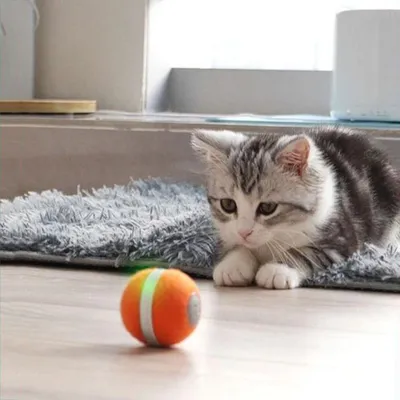 Новый автоматический движущийся прыгающий катящийся мяч, интерактивная  игрушка для кошек, самовращающийся мяч, Wicked Ball – лучшие товары в  онлайн-магазине Джум Гик